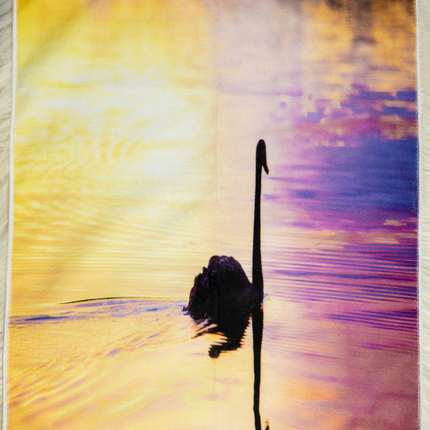 Collection image for: Printed Collection | Heartland Designs